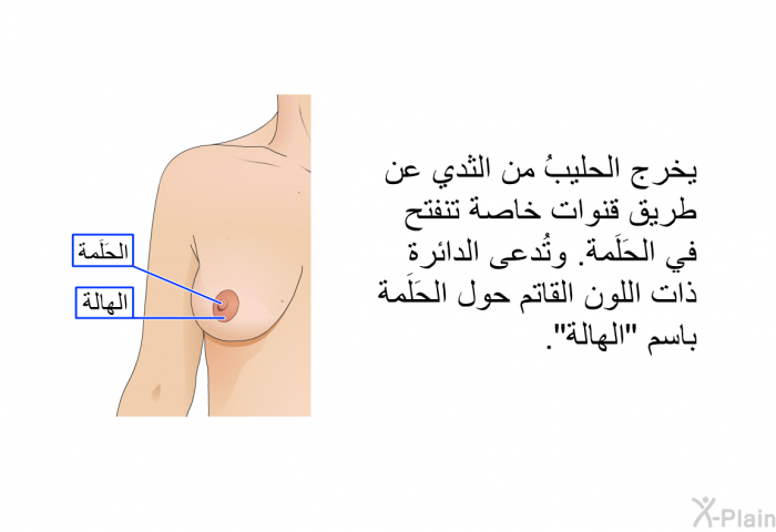 يخرج الحليبُ من الثدي عن طريق قنوات خاصة تنفتح في الحَلَمة. وتُدعى الدائرة ذات اللون القاتم حول الحَلَمة باسم "الهالة".