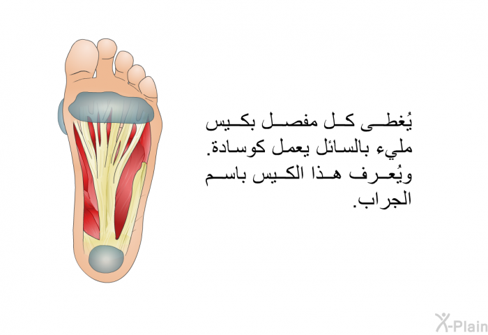 يُغطى كل مفصل بكيس مليء بالسائل يعمل كوسادة. ويُعرف هذا الكيس باسم الجراب.