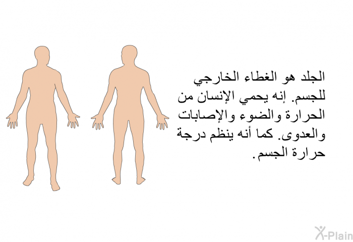 الجلد هو الغطاء الخارجي للجسم<B>. </B>إنه يحمي الإنسان من الحرارة والضوء والإصابات والعدوى<B>. </B>كما أنه ينظم درجة حرارة الجسم<B>.</B>