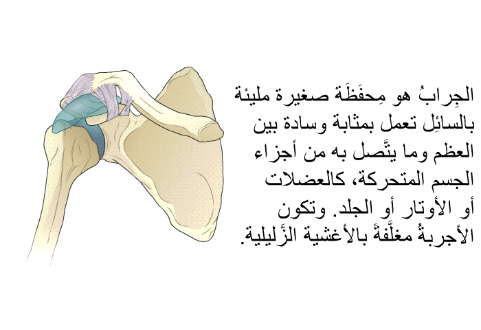 الجِرابُ هو مِحفَظَة صغيرة مليئة بالسائِل تعمل بمثابة وسادة بين العظم وما يتَّصل به من أجزاء الجسم المتحركة، كالعضلات أو الأوتار أو الجلد. وتكون الأجربةُ مغلَّفةً بالأغشية الزَّليلية.