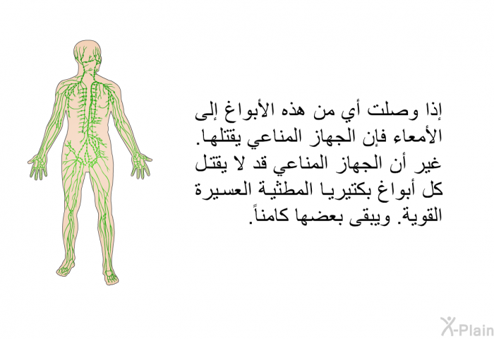 إذا وصلت أي من هذه الأبواغ إلى الأمعاء فإن الجهاز المناعي يقتلها. غير أن الجهاز المناعي قد لا يقتل كل أبواغ بكتيريا المطثية العسيرة القوية. ويبقى بعضها كامناً.