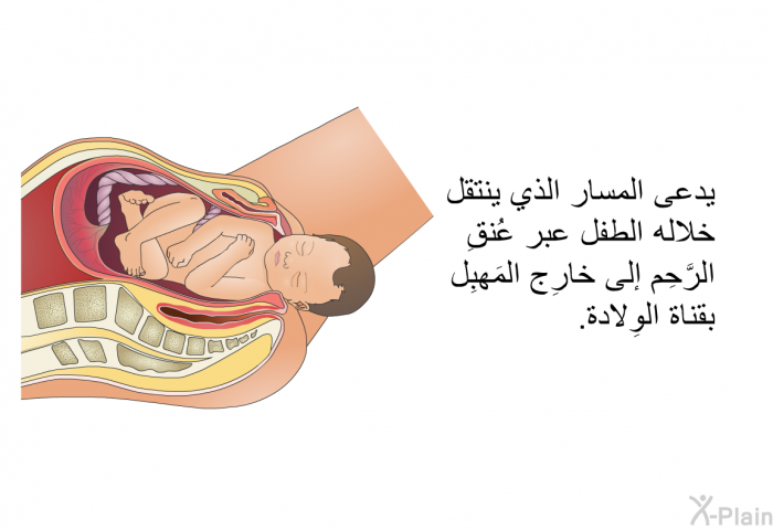 يدعى المسار الذي ينتقل خلاله الطفل عبر عُنقِ الرَّحِم إلى خارِج المَهبِل بقناة الوِلادة.