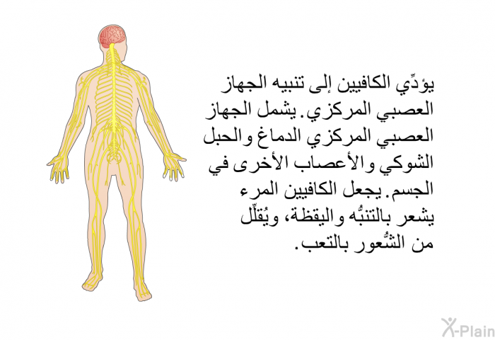 يؤدِّي الكافيين إلى تنبيه الجهاز العصبي المركزي. يشمل الجهاز العصبي المركزي الدماغ والحبل الشوكي والأعصاب الأخرى في الجسم. يجعل الكافيين المرء يشعر بالتنبُّه واليقظة، ويُقلِّل من الشُّعور بالتعب.