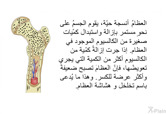 العظامُ نسجٌ حيَّة يقوم الجسمُ على نحوٍ مستمر بإزالة واستبدال كمِّيات صغيرة من الكالسيوم الموجود في العظام. إذا جرت إزالةُ كمِّية من الكالسيوم أكثر من الكمية التي يجري تعويضُها، فإنَّ العظامَ تصبح ضعيفةً وأكثر عرضة للكسر. وهذا ما يُدعى باسم تخلخل و هشاشة العظام.