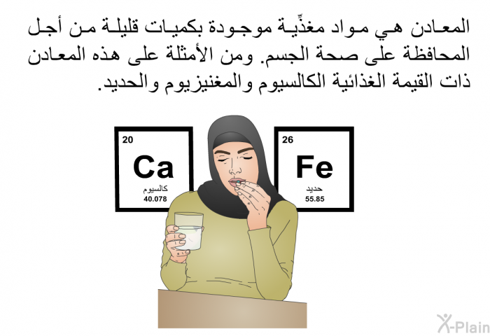 المعادن هي مواد مغذِّية موجودة بكميات قليلة من أجل المحافظة على صحة الجسم. ومن الأمثلة على هذه المعادن ذات القيمة الغذائية الكالسيوم والمغنيزيوم والحديد.