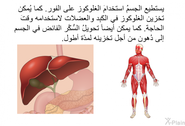 يستطيع الجسمُ استخدامَ الغلوكوز على الفور<B>. </B>كما يُمكن تخزين الغلوكوز في الكَبِد والعضلات لاستخدامه وقتَ الحاجة<B>. </B>كما يمكن أيضاً تحويلُ السُّكَّر الفائض في الجسم إلى دُهون من أجل تخزينه لمدَّة أطول<B>.</B>