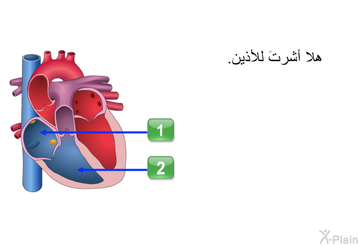 هلا أشرتَ للأذين.