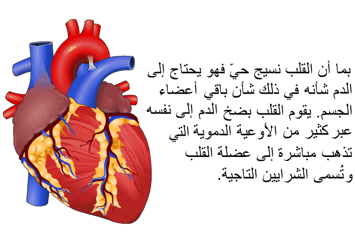 بما أن القلب نسيج حيّ فهو يحتاج إلى الدم شأنه في ذلك شأن باقي أعضاء الجسم. يقوم القلب بضخ الدم إلى نفسه عبر كثير من الأوعية الدموية، التي تذهب مباشرة إلى عضلة القلب وتُسمى الشرايين التاجية.