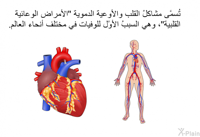 تُسمَّى مشاكلُ القلب والأوعية الدموية "الأمراض الوعائية القلبية"، وهي السببُ الأوَّل للوفيات في مختلف أنحاء العالم.