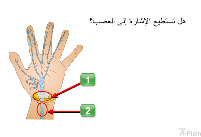 هل تستطيع الإشارةَ إلى العصب؟