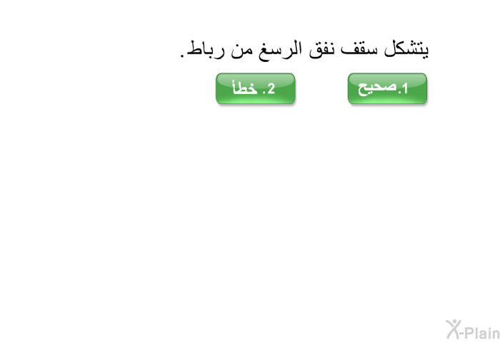يتشكل سقف نفق الرسغ من رباط<B>.</B>