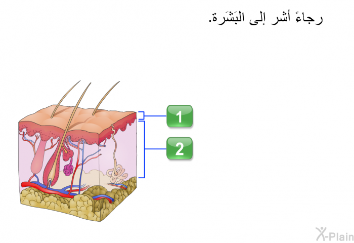 رجاءً أشر إلى البَشَرة.