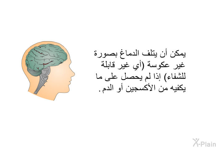 يمكن أن يتلف الدماغ بصورة غير عكوسة (أي غير قابلة للشفاء) إذا لم يحصل على ما يكفيه من الأكسجين أو الدم.