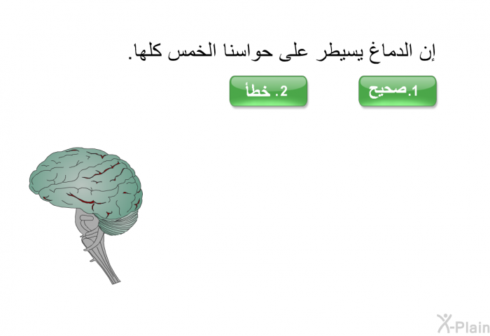 إن الدماغ يسيطر على حواسنا الخمس كلها.