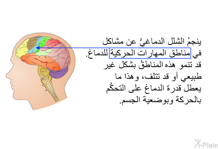 ينجمُ الشلل الدماغيُّ عن مشاكل في مناطق المهارات الحركية للدماغ. قد تنمو هذه المناطقُ بشكل غير طبيعي أو قد تتلف، وهذا ما يعطل قدرة الدماغ على التحكُّم بالحركة وبوضعية الجسم.