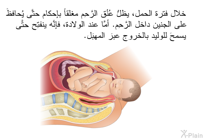 خلال فترة الحمل، يظلُّ عُنُق الرَّحِم مغلقاً بإحكام حتَّى يُحافظَ على الجنين داخل الرَّحِم. أمَّا عندَ الولادة، فإنَّه ينفتِح حتَّى يسمحَ للوليد بالخروج عبرَ المهبَل.