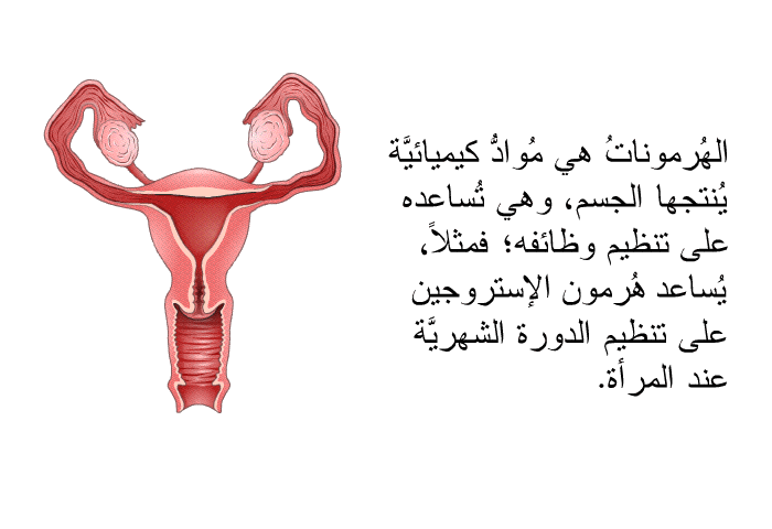 الهُرموناتُ هي مُوادُّ كيميائيَّة يُنتجها الجسم، وهي تُساعده على تنظيم وظائفه؛ فمثلاً، يُساعد هُرمون الإستروجين على تنظيم الدورة الشهريَّة عند المرأة.