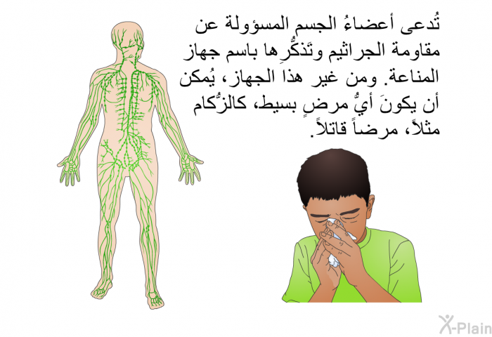 تُدعى أعضاءُ الجسم المسؤولة عن مقاومة الجراثيم وتَذكُّرِها باسم جهاز المناعة. ومن غير هذا الجهاز، يُمكن أن يكونَ أيُّ مرضٍ بسيط، كالزُّكام مثلاً، مرضاً قاتلاً.