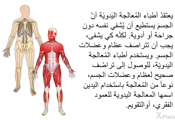 يعتقدُ أطباء المُعالجة اليَدويّة أنَّ الجسمَ يستطيع أن يُشفي نفسه دون جراحَة أو أدوية. لكنَّه كي يشفى، يجب أن تتراصف عظام وعَضلات الجِسم. ويستخدم أطباء المُعالجة اليَدويّة، للوصول إلى تراصُف صحيح لعظام وعضَلات الجسم، نوعاً من المُعالجة باستخدام اليدين اسمها المعالجة اليدوية للعمود الفقري، أوالتقويم.