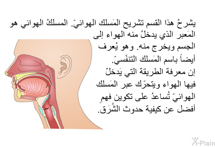 يشرحُ هذا القسم تشريح المَسلك الهوائيّ. المسلكُ الهوائي هو المَعبر الذي يدخلُ منه الهواء إلى الجسم ويخرج منه. وهو يُعرف أيضاً باسم المَسلك التنفّسيّ. إن معرفة الطريقة التي يَدخلُ فيها الهواء وتحرّكهعبر المَسلك الهوائيّ تُساعدُ على تكوين فهمٍ أفضل عن كيفية حدوث الشَّرَق.