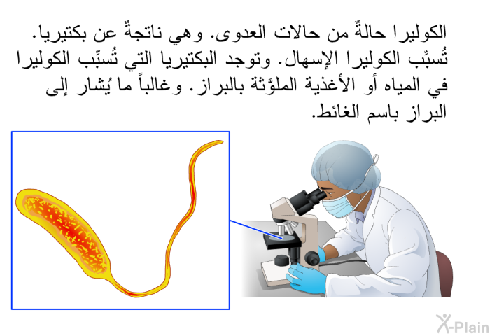 الكوليرا حالةٌ من حالات العدوى. وهي ناتجةٌ عن بكتيريا. تُسبِّب الكوليرا الإسهال. وتوجد البكتيريا التي تُسبِّب الكوليرا في المياه أو الأغذية الملوَّثة بالبراز. وغالباً ما يُشار إلى البراز باسم الغائط.