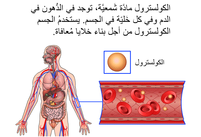 الكولسترول مادَّة شَمعيَّة، توجد في الدُّهون في الدم وفي كل خَليّة في الجسم. يستخدمُ الجسم الكولسترول من أجل بناء خلايا مُعافاة.