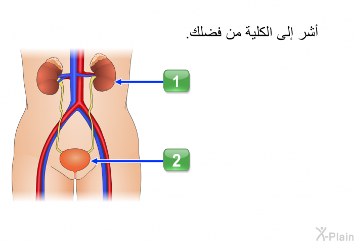 أشر إلى الكلية من فضلك.