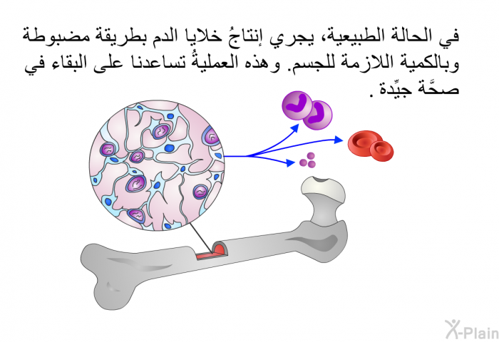 في الحالة الطبيعية، يجري إنتاجُ خلايا الدم بطريقة مضبوطة وبالكمية اللازمة للجسم. وهذه العمليةُ تساعدنا على البقاء في صحَّة جيِّدة.