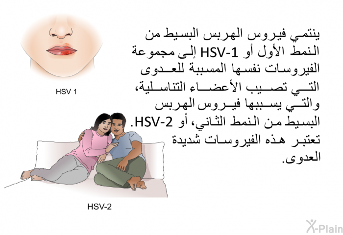 ينتمي فيروس الهربس البسيط من النمط الأول أو HSV-1إلى مجموعة الفيروسات نفسها المسببة للعدوى التي تصيب الأعضاء التناسلية، والتي يسببها فيروس الهربس البسيط من النمط الثاني، أو HSV-2. تعتبر هذه الفيروسات شديدة العدوى.