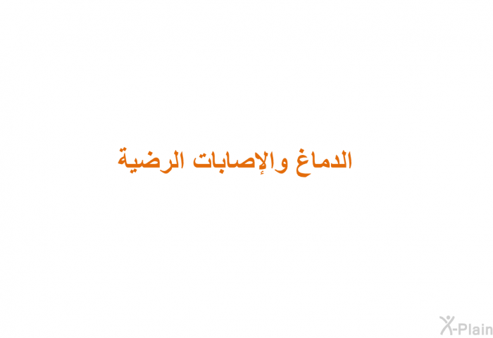 الدماغ والإصابات الرضية