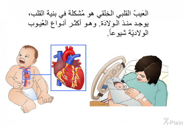 العَيبُ القلبي الخِلقي هو مُشكلة في بنية القلب، يوجد منذ الولادَة. وهو أكثر أنواع العُيوب الولاديّة شيوعاً.