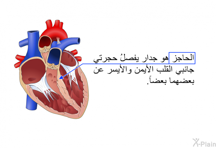 الحاجز هو جدار يفصلُ حجرتي جانبي القلب الأيمن والأيسر عن بعضهما بعضاً.