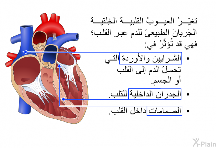 تغيّرُ العيوبُ القلبية الخِلقية الجَريانَ الطبيعيّ للدم عبر القلب؛ فهي قد تُؤثّرُ في:   الشرايين والأوردة التي تحملُ الدم إلى القلب أو الجسم.  الجدران الداخلية للقلب. الصِمامات داخل القلب.