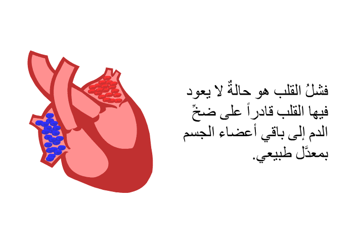فشلُ القلب هو حالةٌ لا يعود فيها القلب قادراً على ضخِّ الدم إلى باقي أعضاء الجسم بمعدَّل طبيعي.