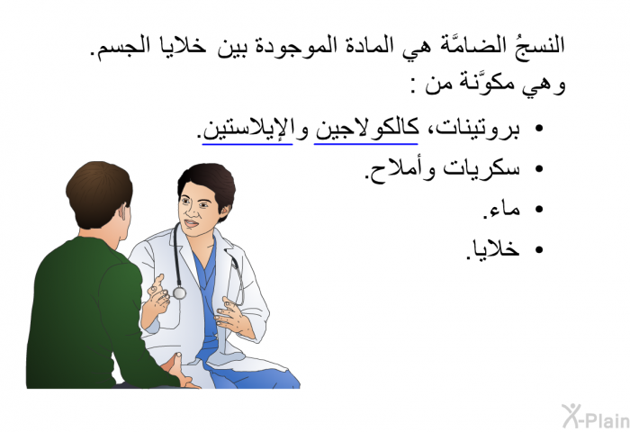 النسجُ الضامَّة هي المادة الموجودة بين خلايا الجسم. وهي مكوَّنة من:  بروتينات، كالكولاجين والإيلاستين. سكريات وأملاح. ماء. خلايا.