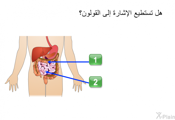 هل تستطيع الإشارةَ إلى القولون؟