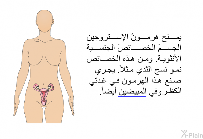 يمنح هرمونُ الإستروجين الجسمَ الخصائصَ الجنسية الأنثوية. ومن هذه الخصائص نمو نسج الثدي مثلاً. يجري صنع هذا الهرمون في غدتي الكظر وفي المبيضين أيضاً.