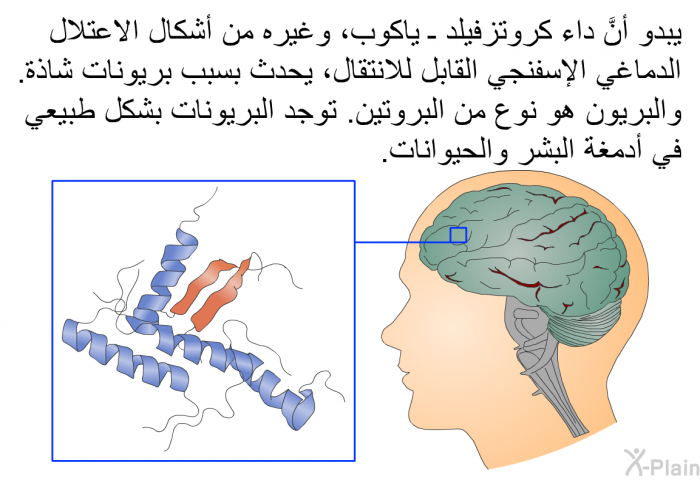 يبدو أنَّ داء كروتزفيلد ـ ياكوب، وغيره من أشكال الاعتلال الدماغي الإسفنجي القابل للانتقال، يحدث بسبب بريونات شاذة. والبريون هو نوعٌ من البروتين. توجد البريونات بشكل طبيعي في أدمغة البشر والحيوانات.