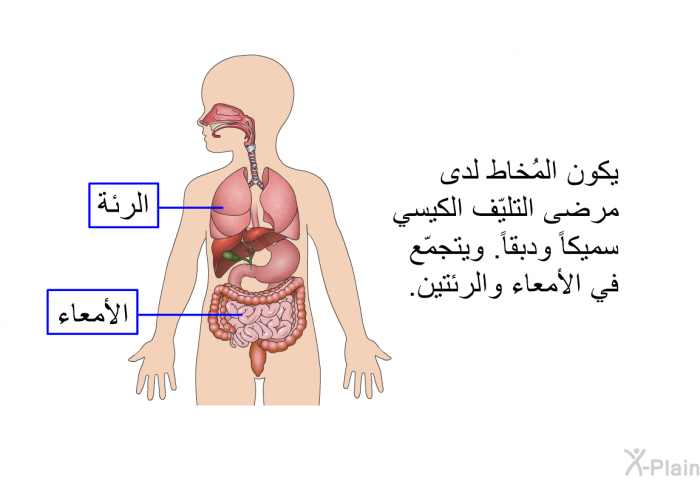 يكون المُخاط لدى مرضى التليّف الكيسي سميكاً ودبقاً. ويتجمّع في الأمعاء والرئتين.