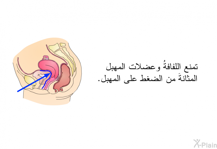 تمنع اللفافةُ وعضلات المهبل المثانةَ من الضغط على المهبل.