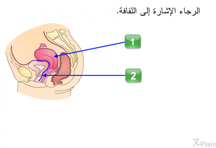 الرجاء الإشارة إلى اللفافة.