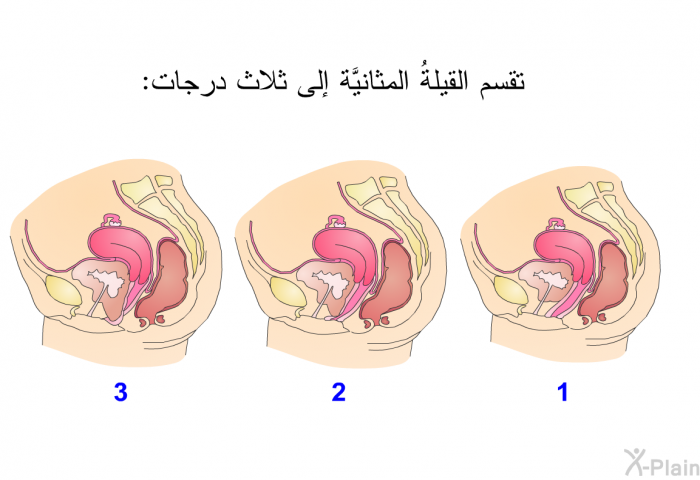 تقسم القيلةُ المثانيَّة إلى ثلاث درجات: