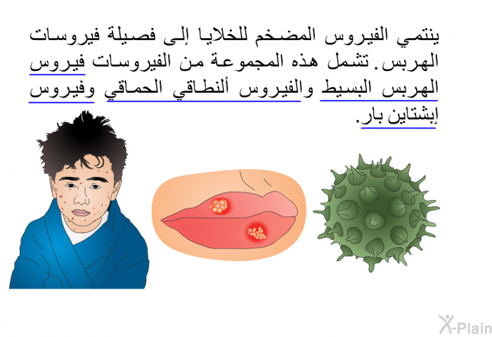 ينتمي الفيروس المضخم للخلايا إلى فصيلة فيروسات الهربس. تشمل هذه المجموعة من الفيروسات فيروس الهربس البسيط والفيروس ألنطاقي الحماقي وفيروس إبشتاين بار.