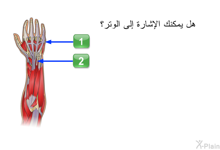 هل يمكنك الإشارة إلى الوتر؟