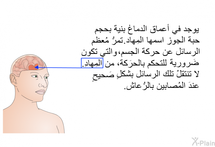 يوجد في أعماق الدماغ بنية بحجمِ حبة الجوز اسمها المِهاد. تمرُّ مُعظم الرسائل عن حركة الجسم، والتي تكون ضَرورية للتحكم بالحرَكة، من المِهادِ. لا تنتقلُ تلك الرسائل بشكلٍ صَحيحٍ عندَ المُصابين بالرُّعاش.