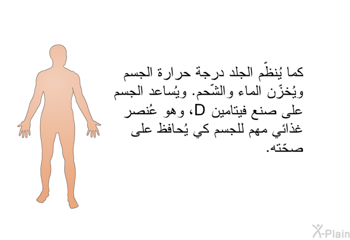 كما يُنظّم الجلد درجة حرارة الجسم ويُخزّن الماء والشّحم. ويُساعد الجسم على صنع فيتامين D، وهو عُنصر غذائي مهم للجسم كي يُحافظ على صحّته.