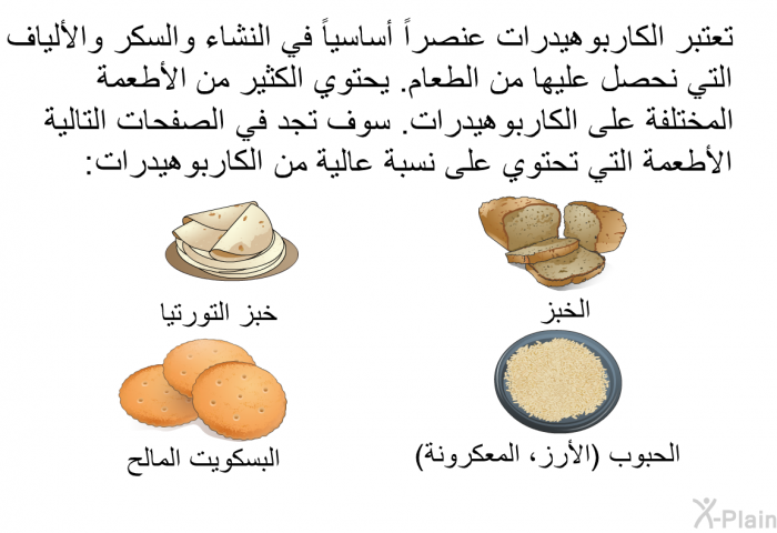 تعتبر الكاربوهيدرات عنصرا أساسيا في النشاء والسكر والألياف التي نحصل عليها من الطعام. يحتوي الكثير من الأطعمة المختلفة على الكاربوهيدرات. سوف تجد في الصفحات التالية الأطعمة التي تحتوي على نسبة عالية من الكاربوهيدرات:  الخبز خبز التورتيا الحبوب (الأرز، المعكرونة) البسكويت المالح