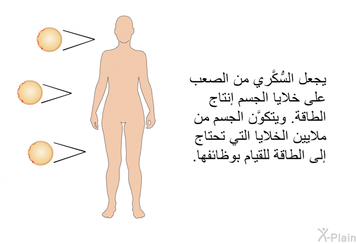 يجعل السُّكَّري من الصعب على خلايا الجسم إنتاج الطاقة. ويتكوَّن الجسم من ملايين الخلايا التي تحتاج إلى الطاقة للقيام بوظائفها.