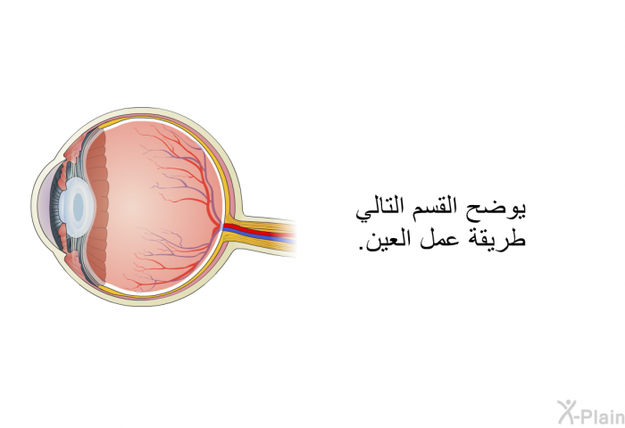 يوضح القسم التالي طريقة عمل العين.