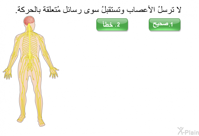 لا ترسلُ الأعصاب وتستقبلُ سوى رسائل مُتعلّقة بالحركة.